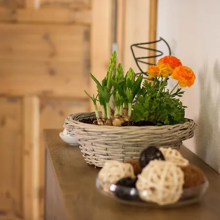Apartment Pohoda Vrbice